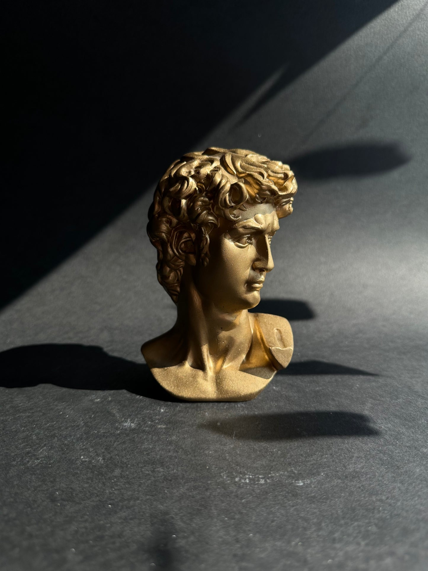 David's bust in gold finish