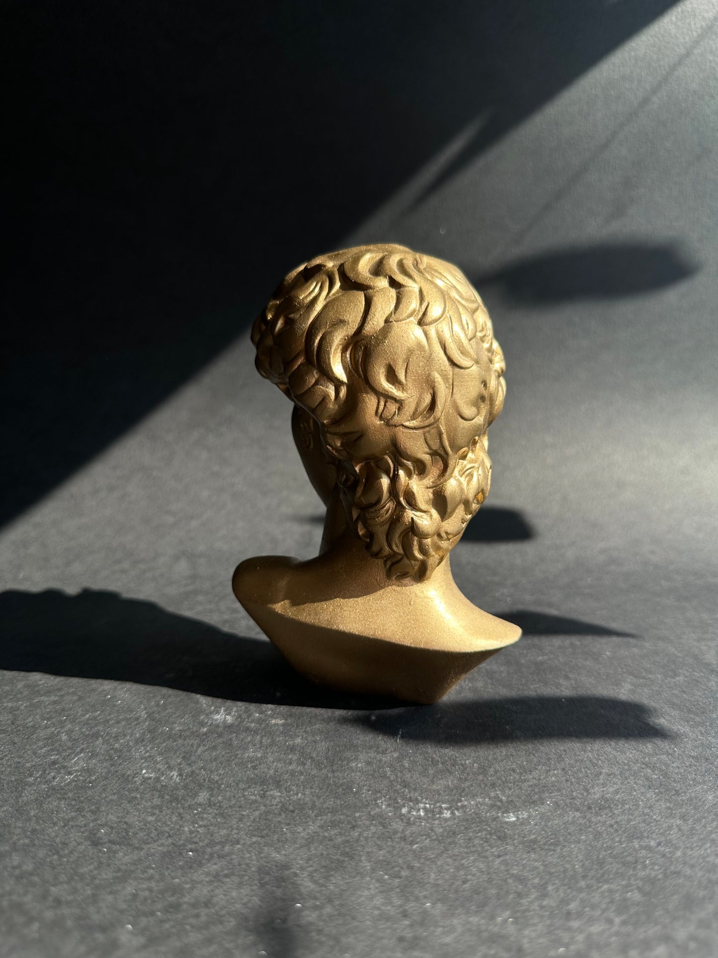 David's bust in gold finish