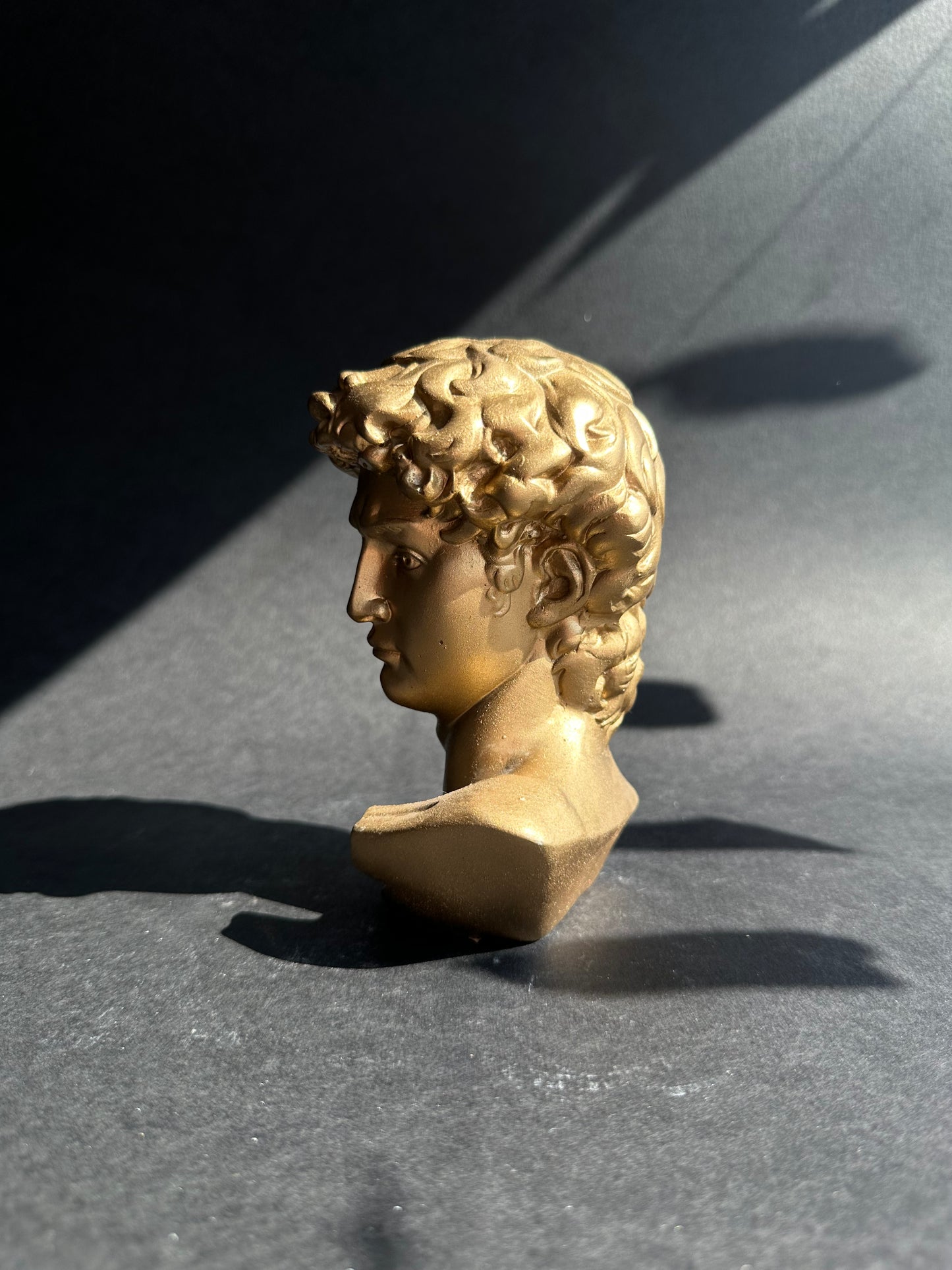 David's bust in gold finish