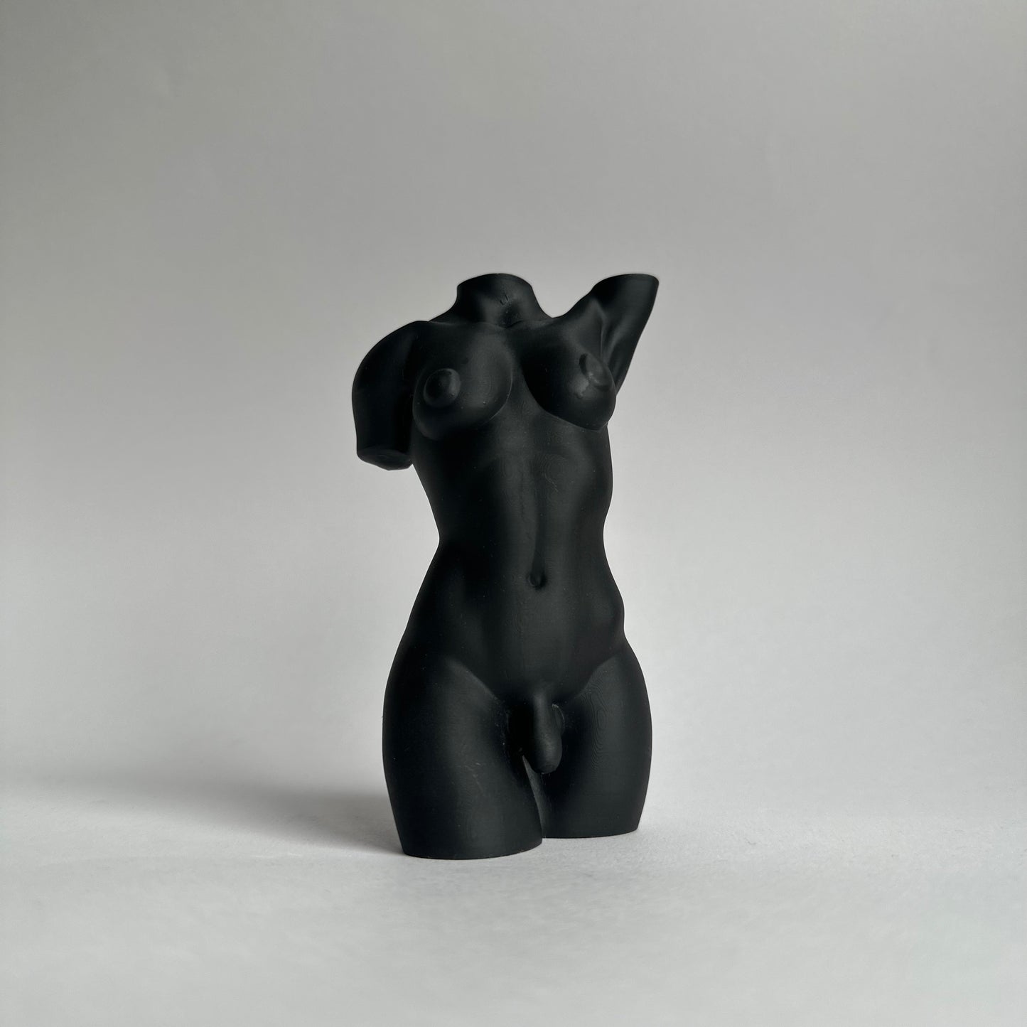 Transgender body sculpture [5 inch]