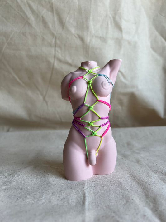 transgender body sculpture with shibari  [5 inch]